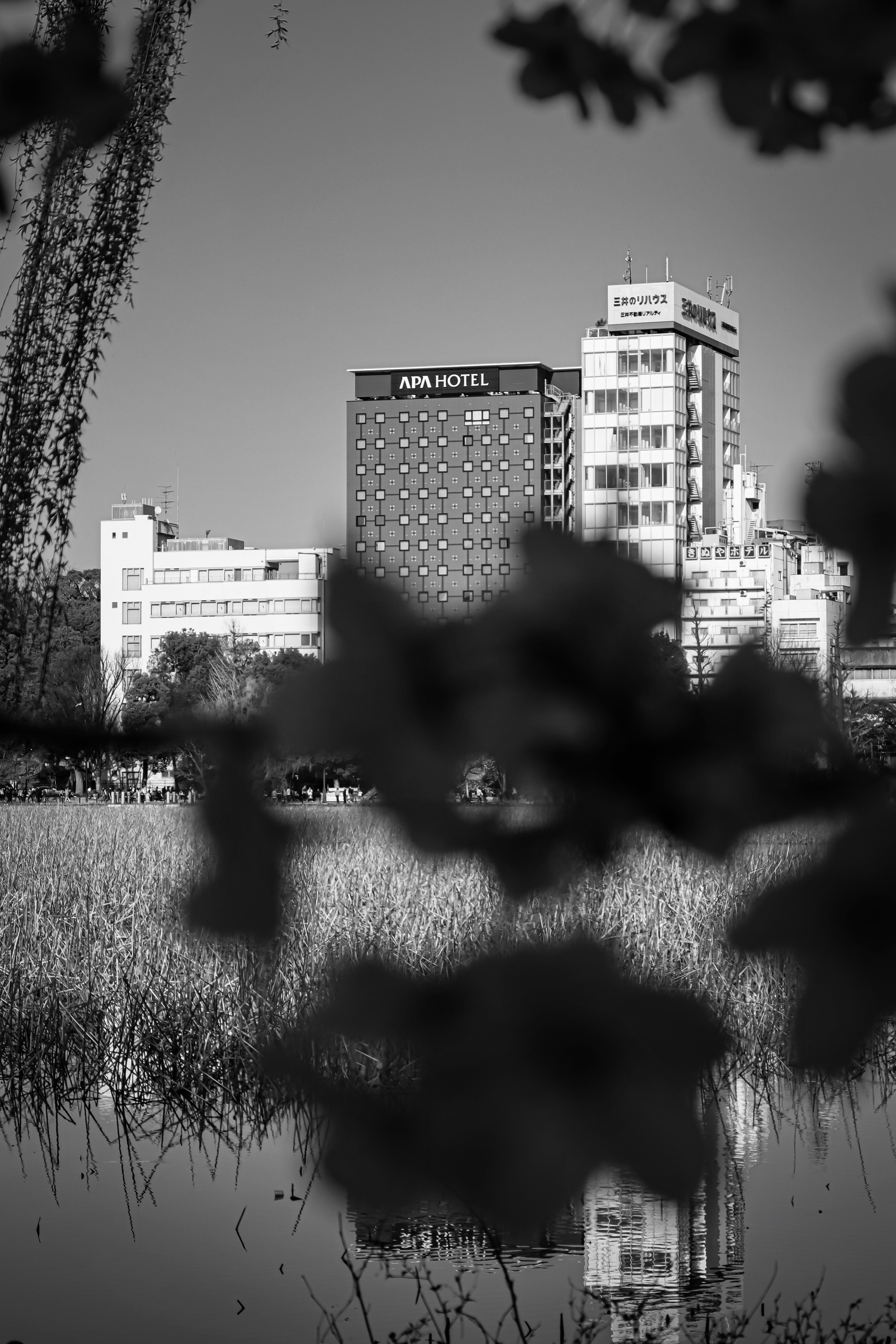 Grayscale photo of high rise buildings photo – Free Grey Image on Unsplash