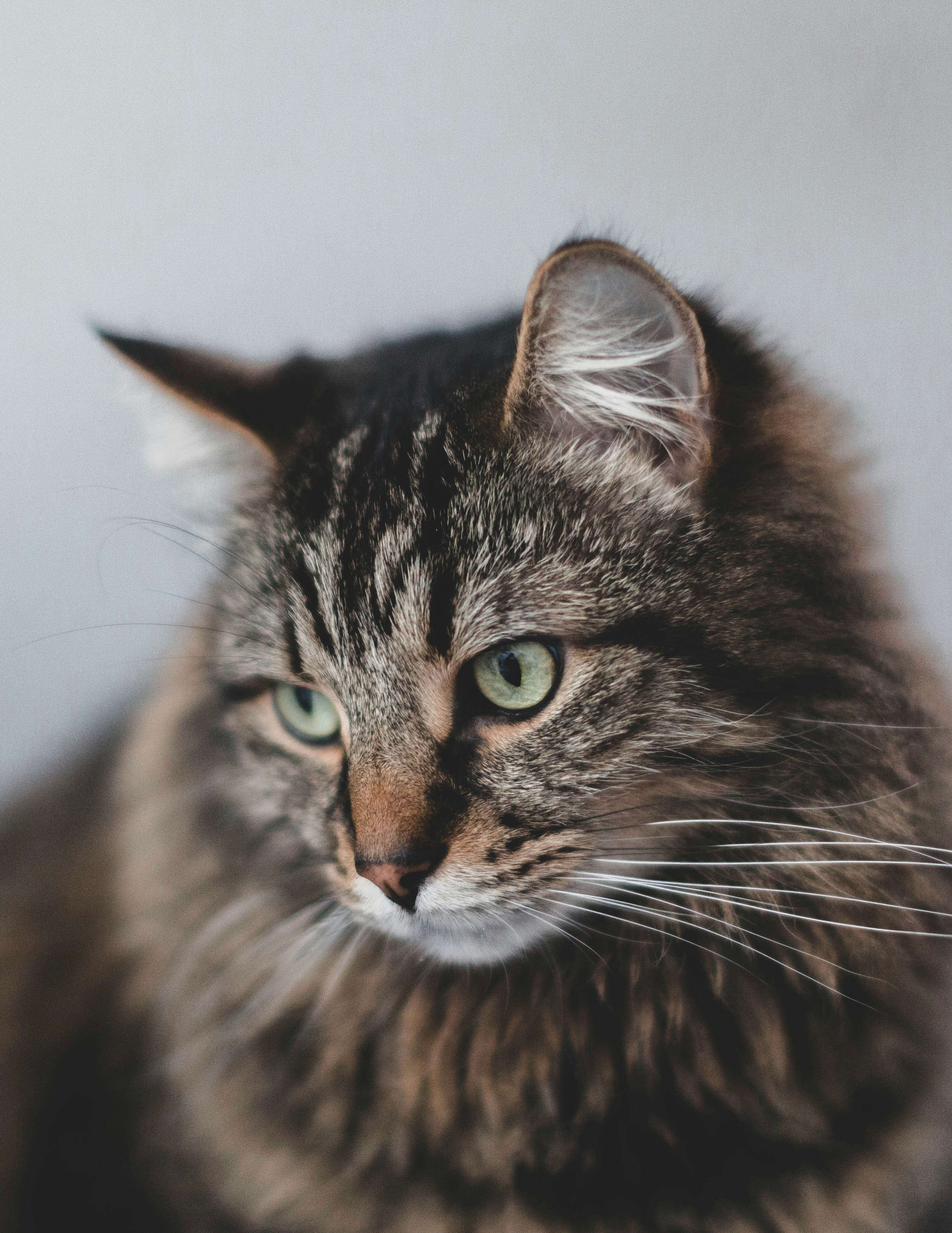 Photo by theshuttervision