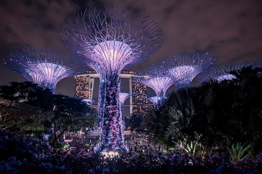 white and purple ferris wheel during night time in Gardens by the Bay Singapore