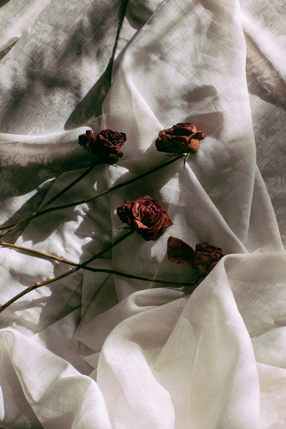 red roses on white textile