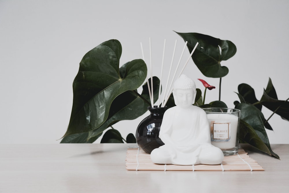 green plant on white ceramic vase