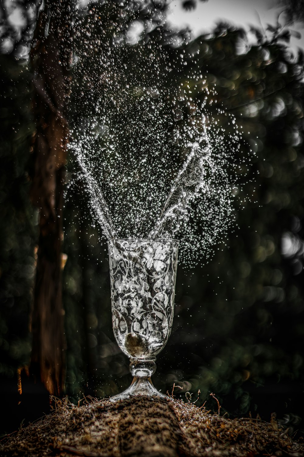 water falling from brown tree