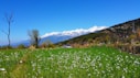 green grass field near mountain under blue sky during daytime