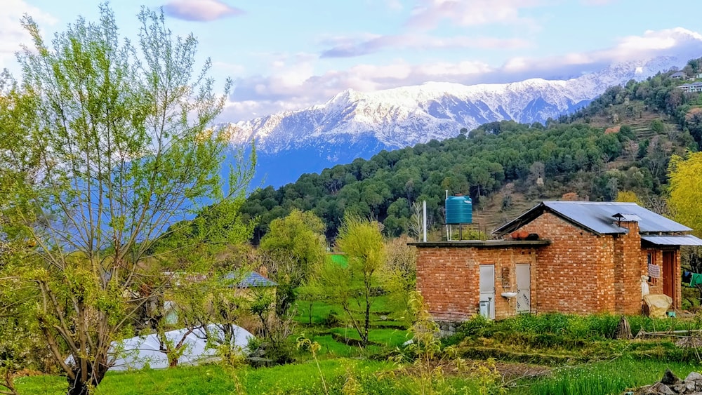 brown house near green trees and mountain during daytime