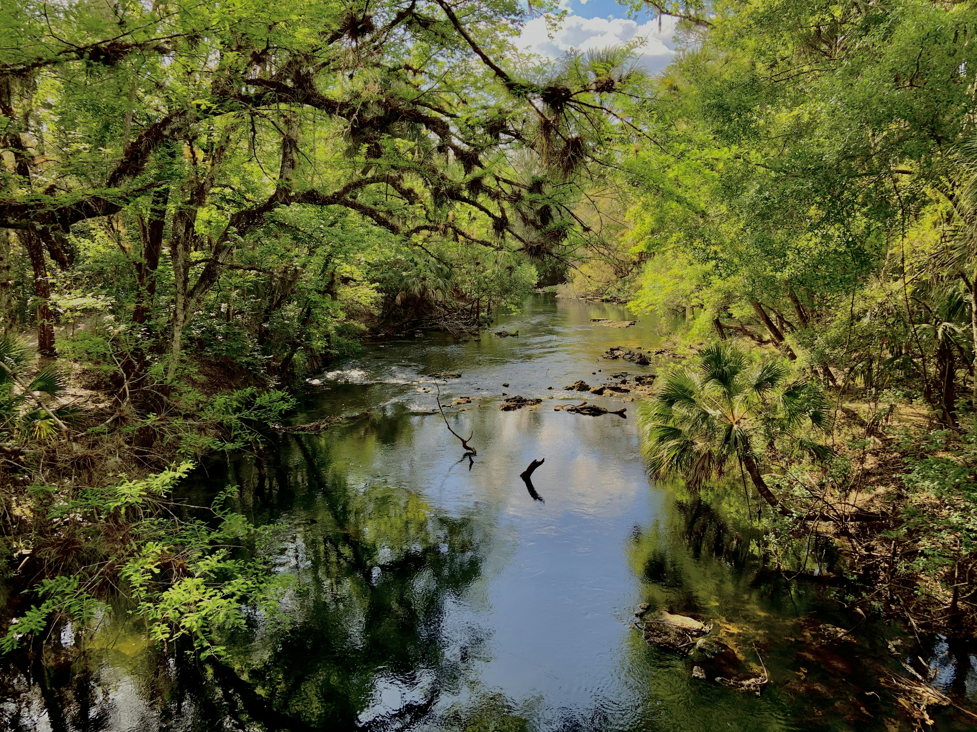 Photo by danaisa1999