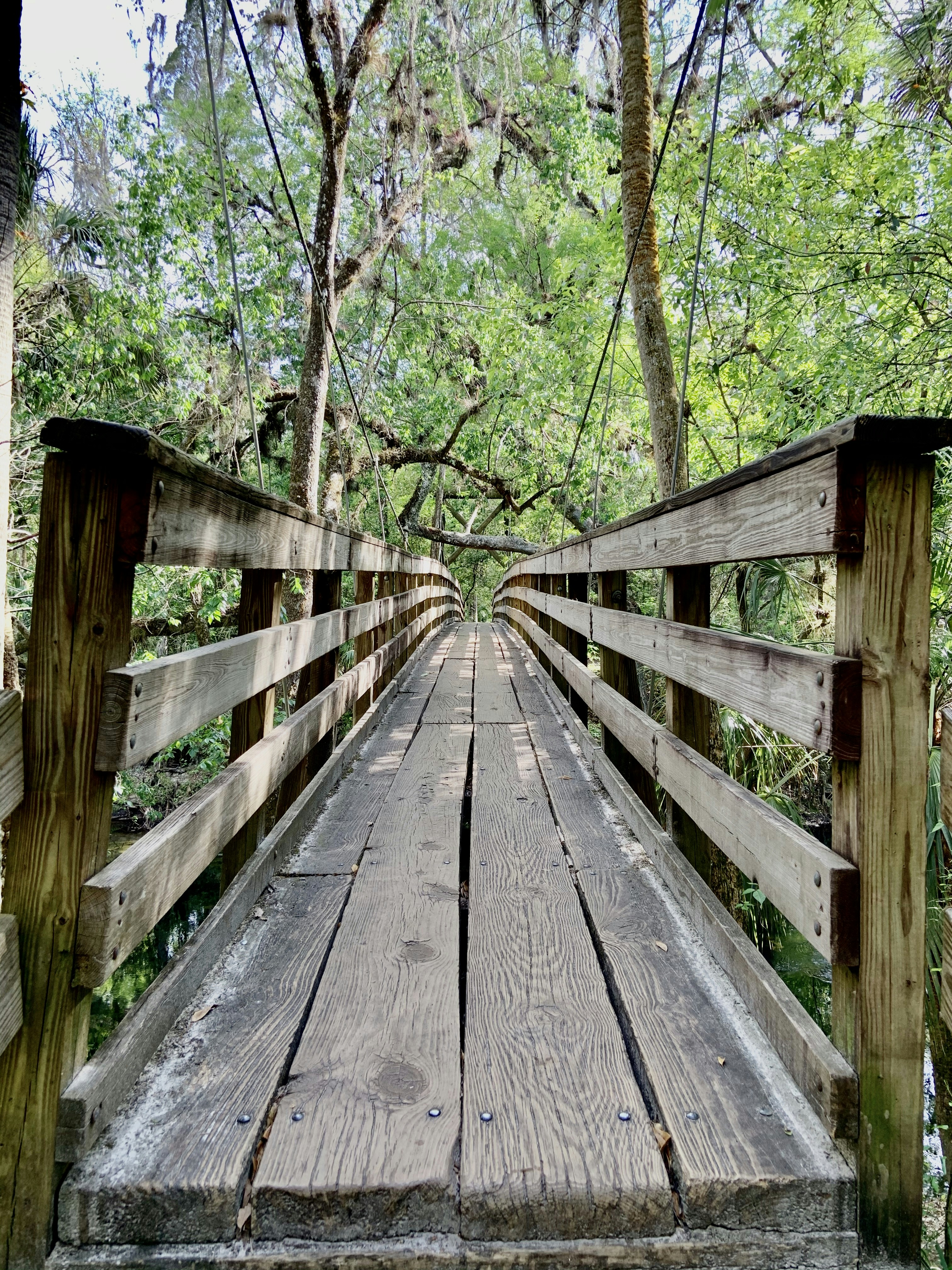 Photo by danaisa1999