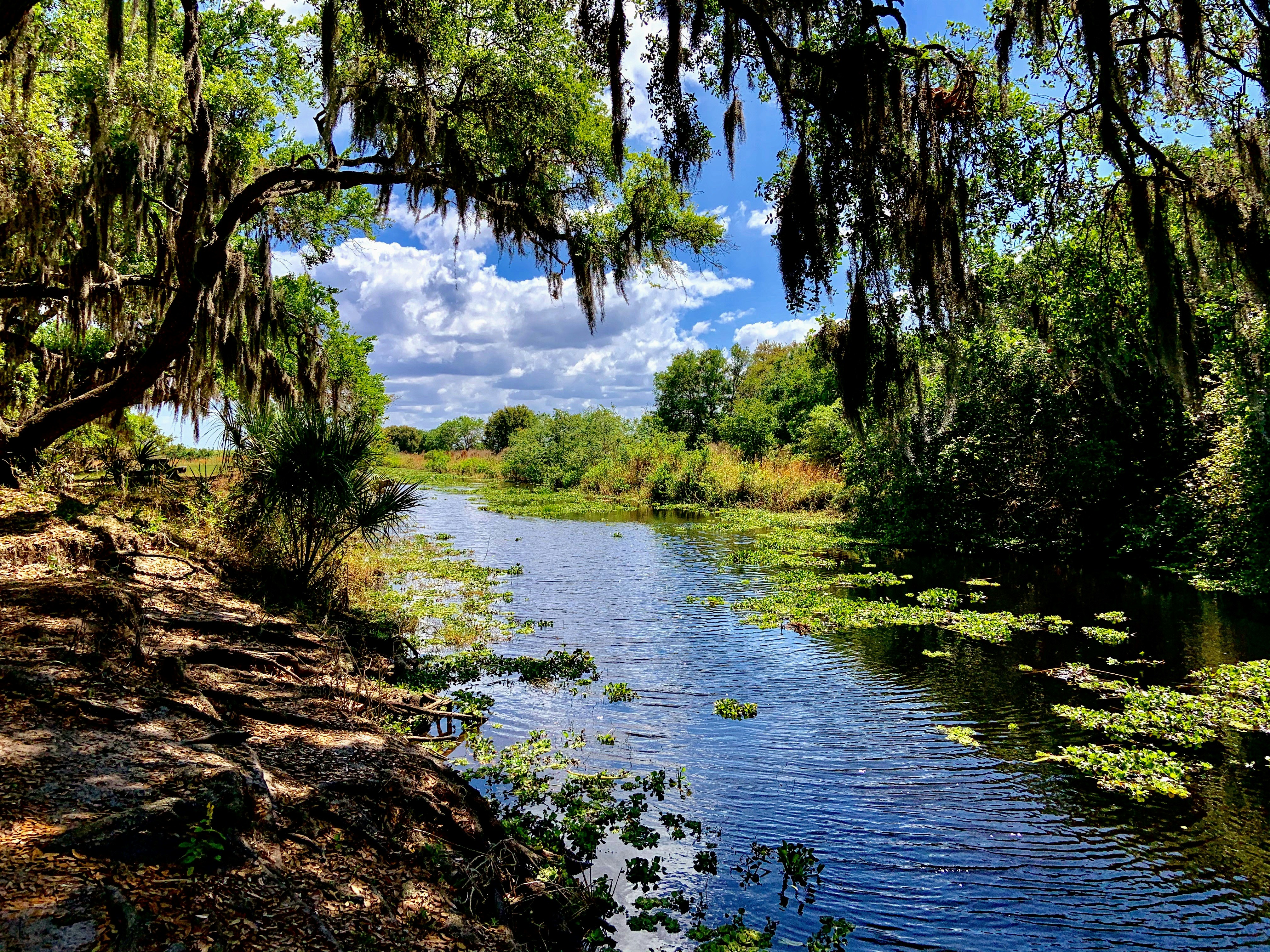 Photo by danaisa1999