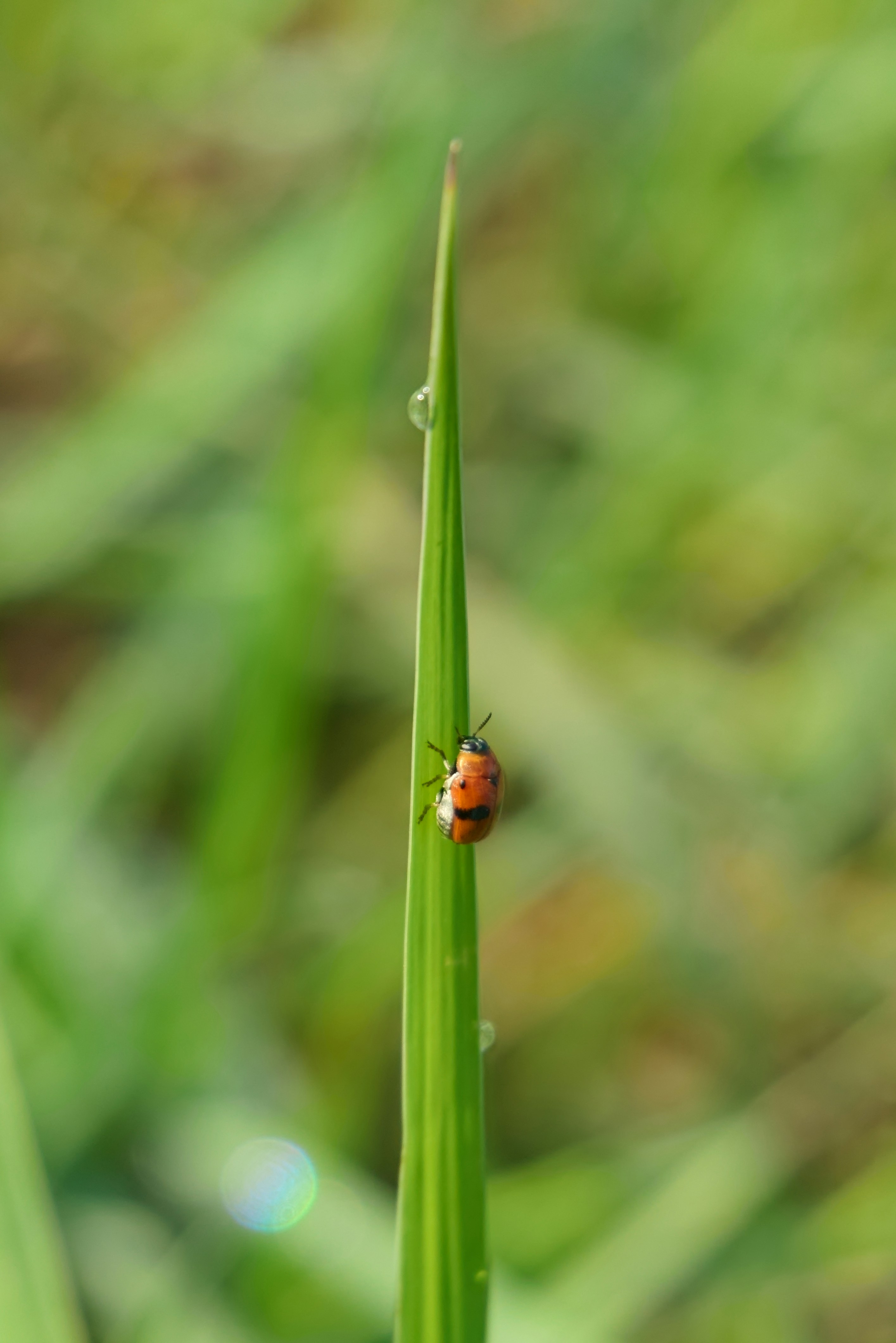 Photo by lightenshot