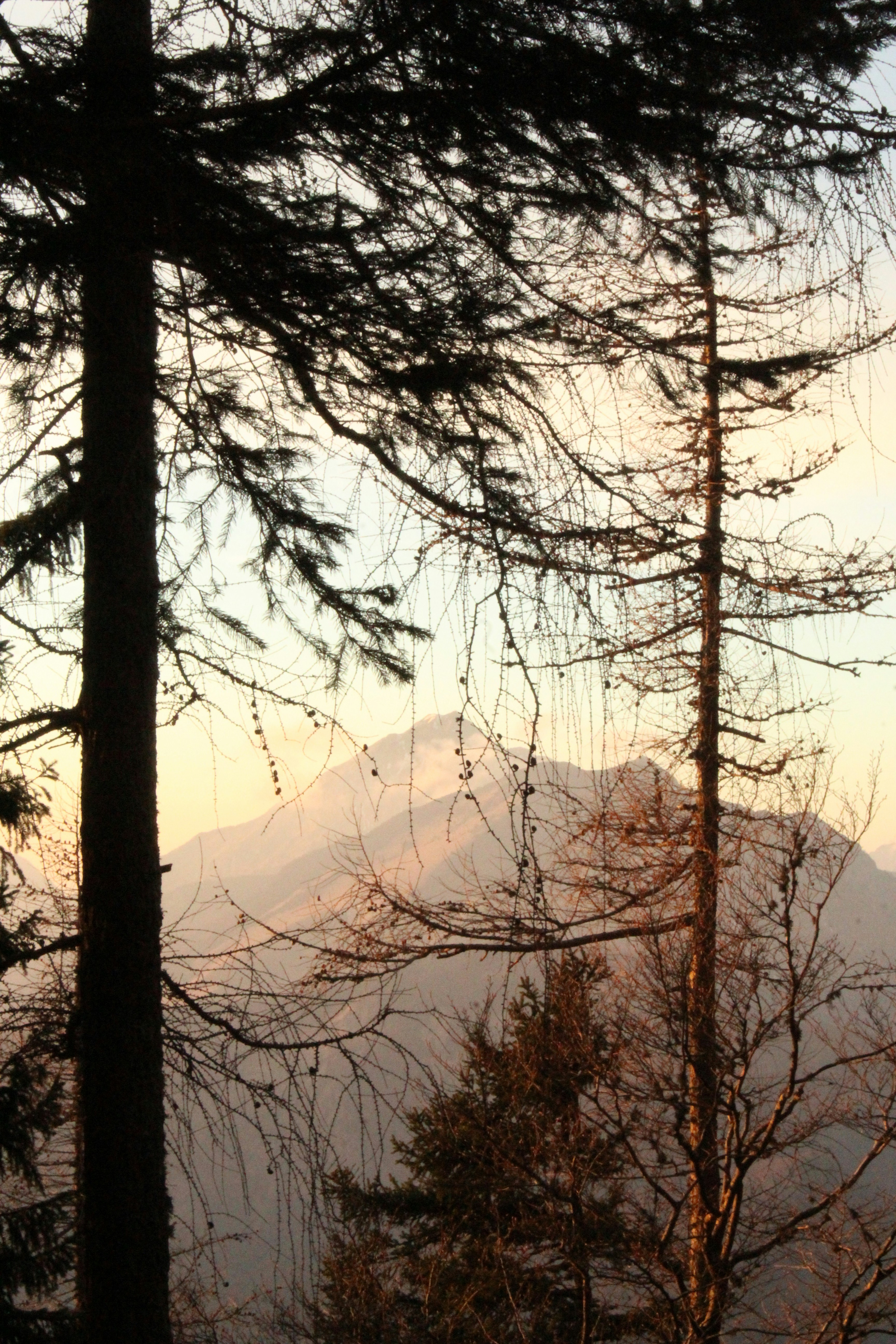 Photo by adrianvrban