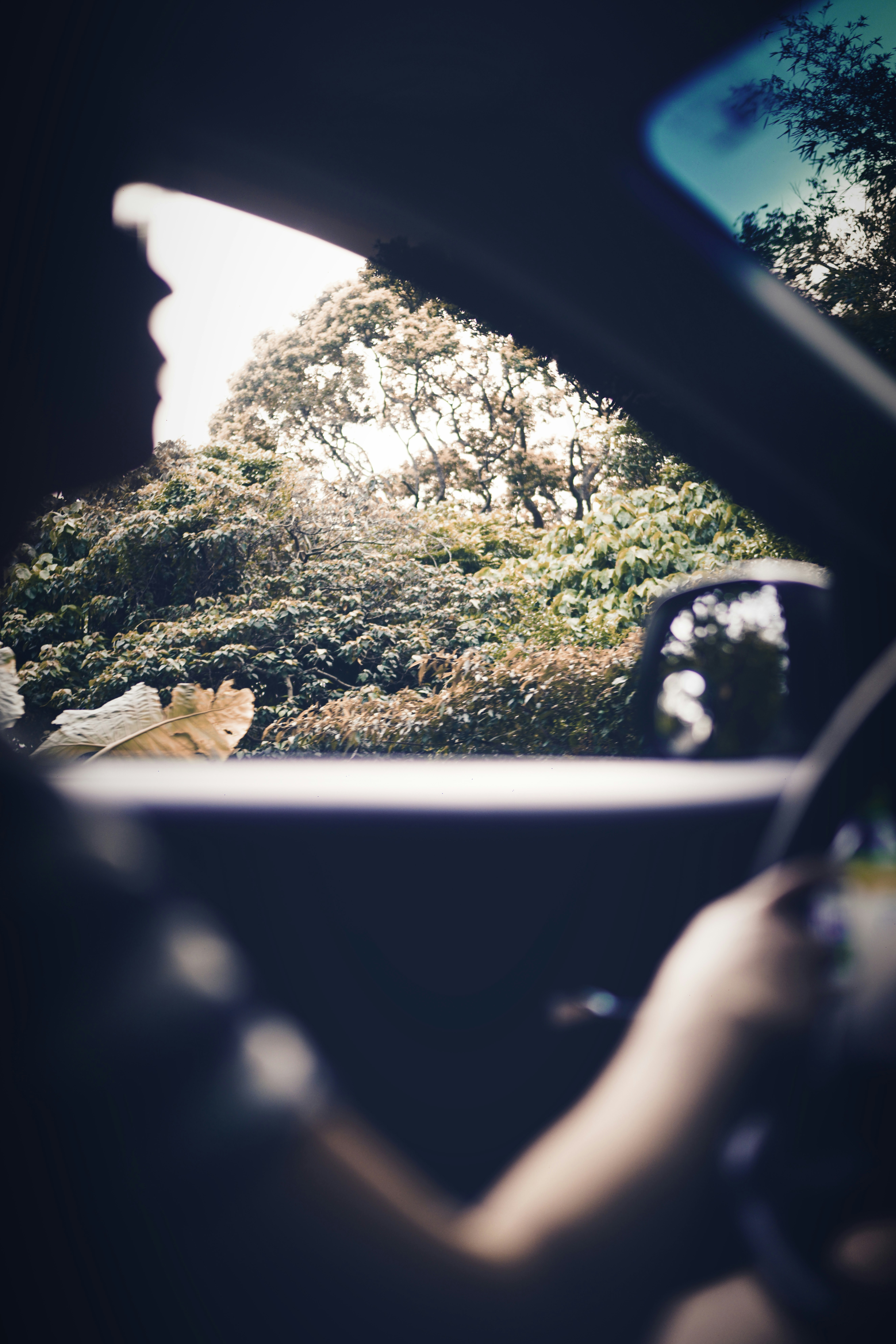 Blocchi Di Legno Marroni Su Superficie Bianca Photo – Photo Gris - Foto 6