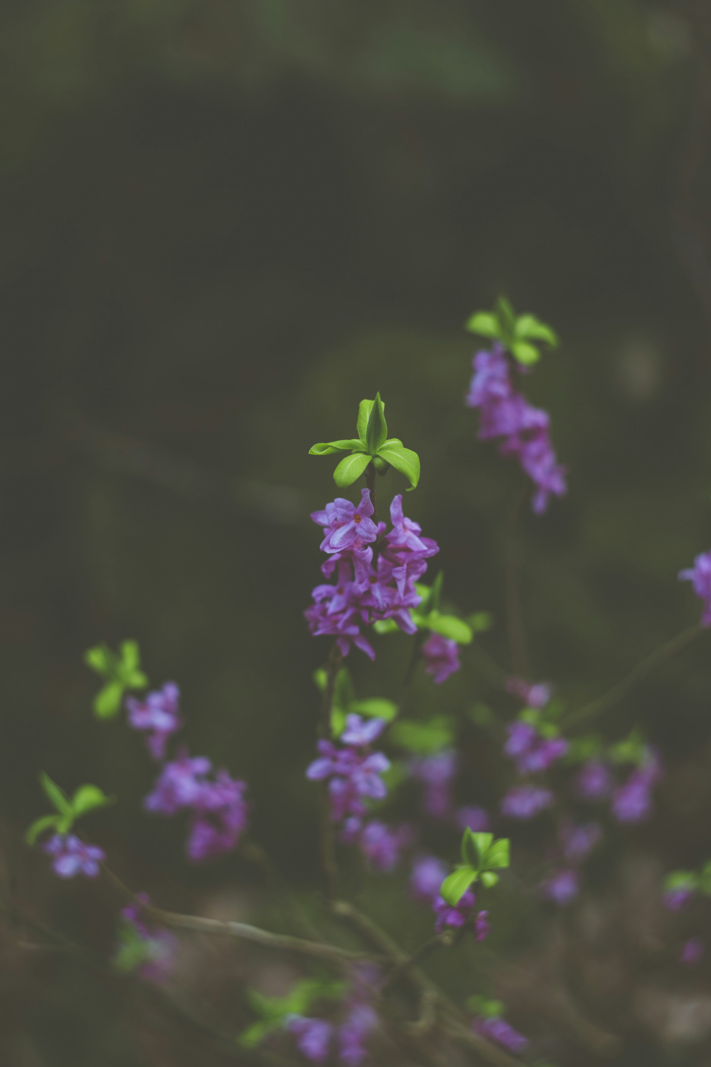 Photo by markusspiske