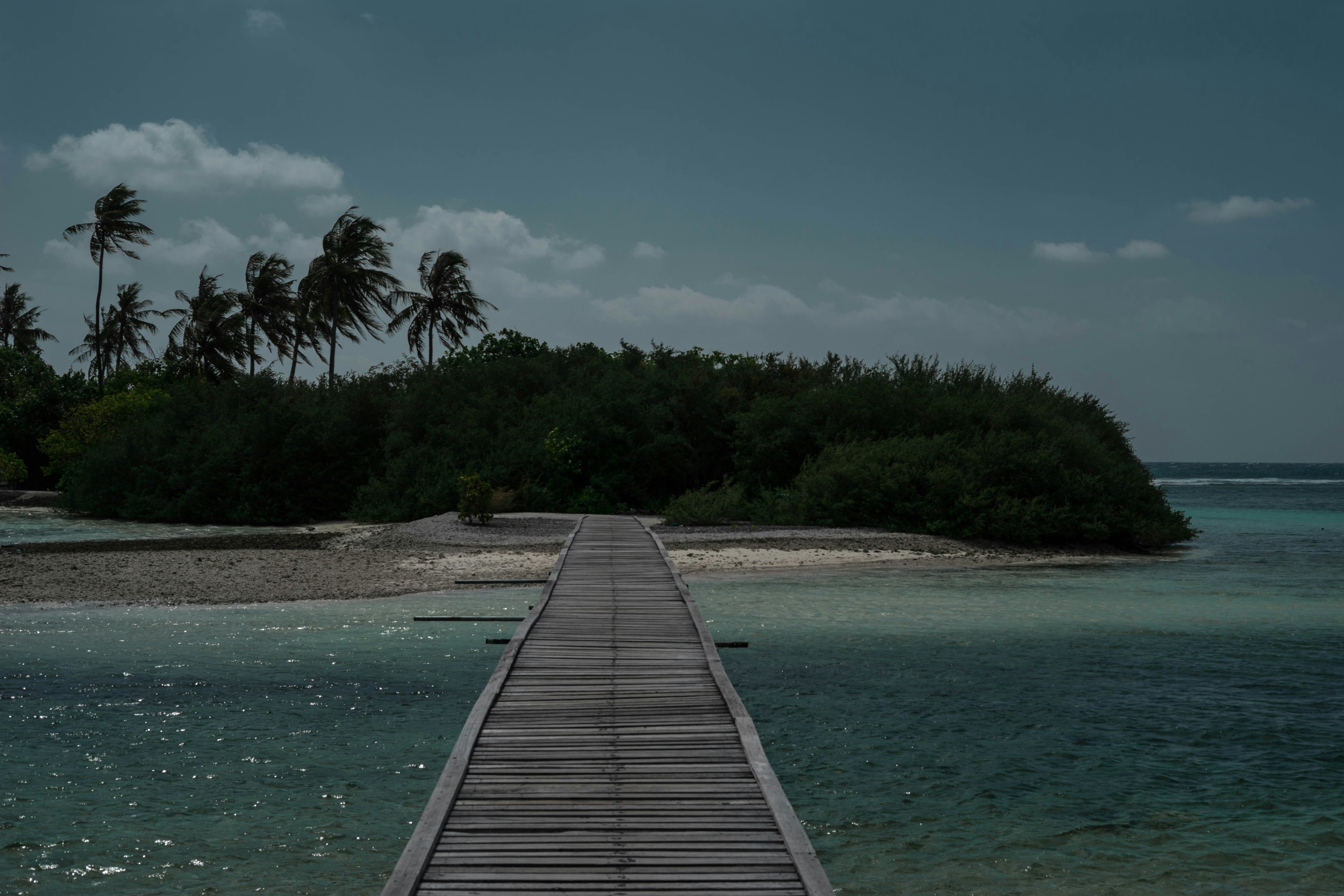 Photo by illarionov