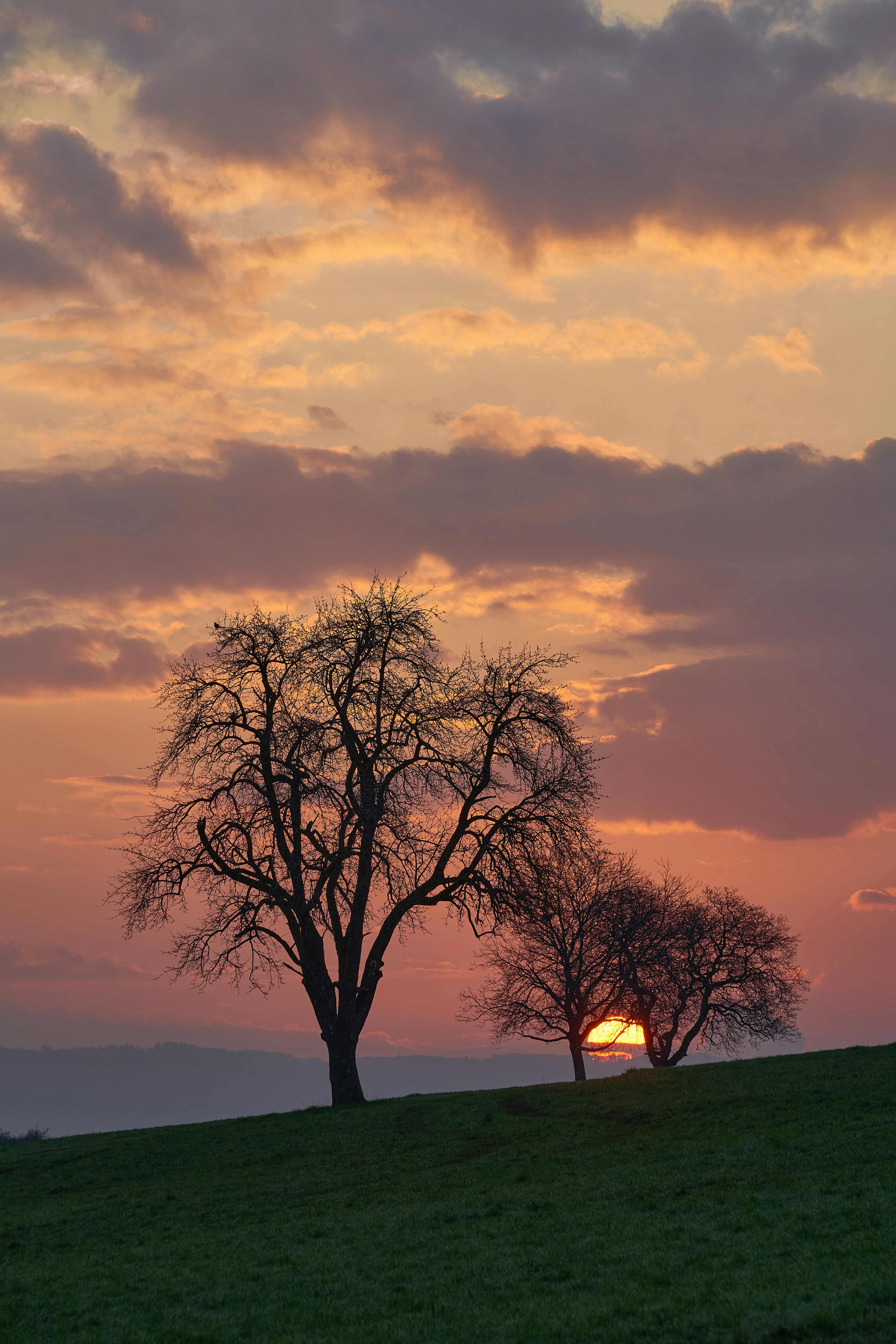 Photo by wolfgang_hasselmann