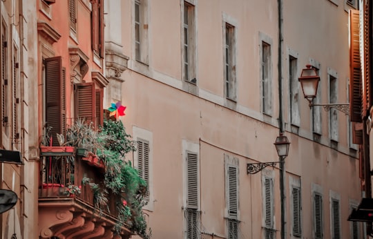 red flowers on brown clay pot in Milano Italy