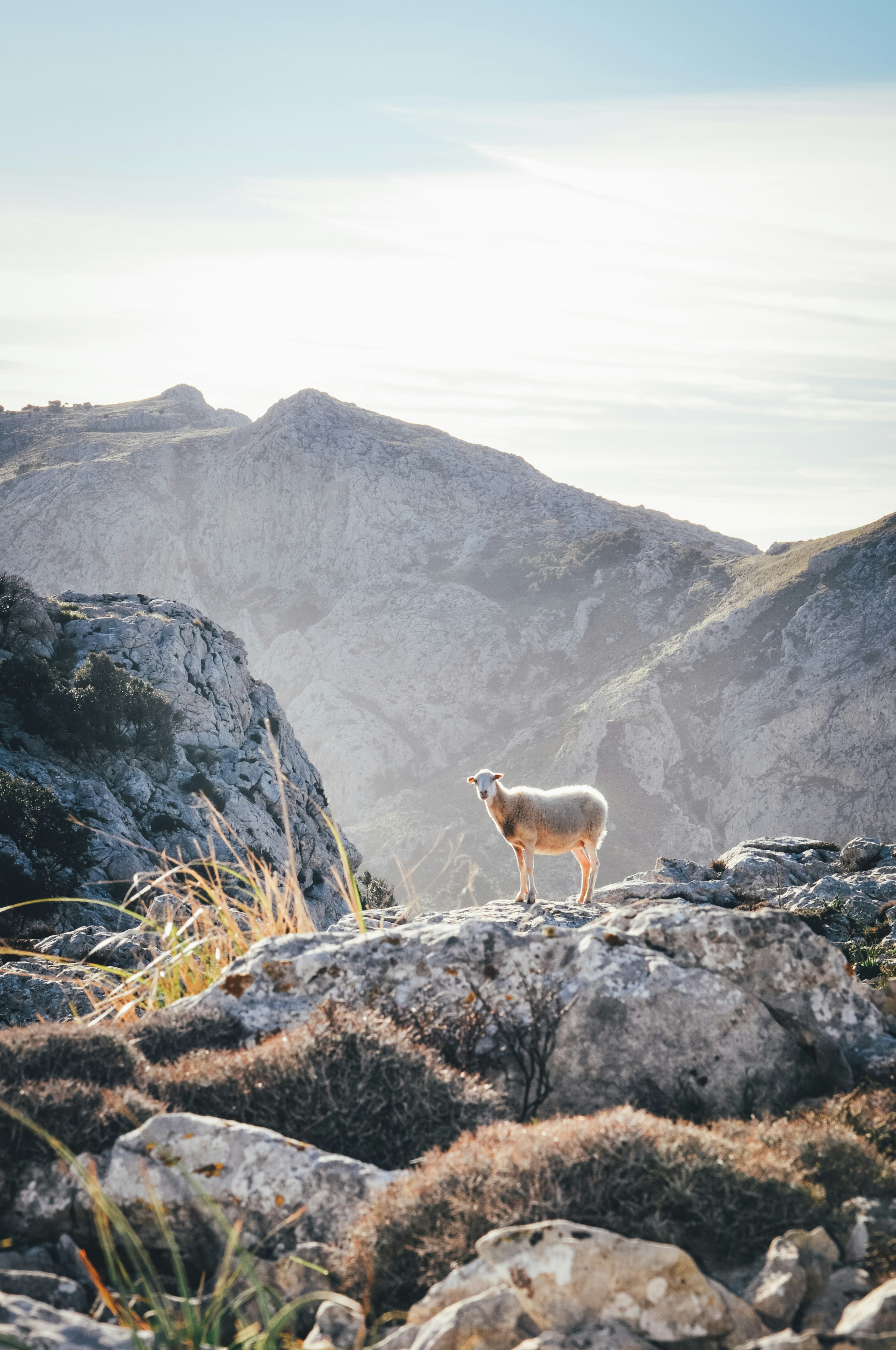 Photo by ialwayswantedagun