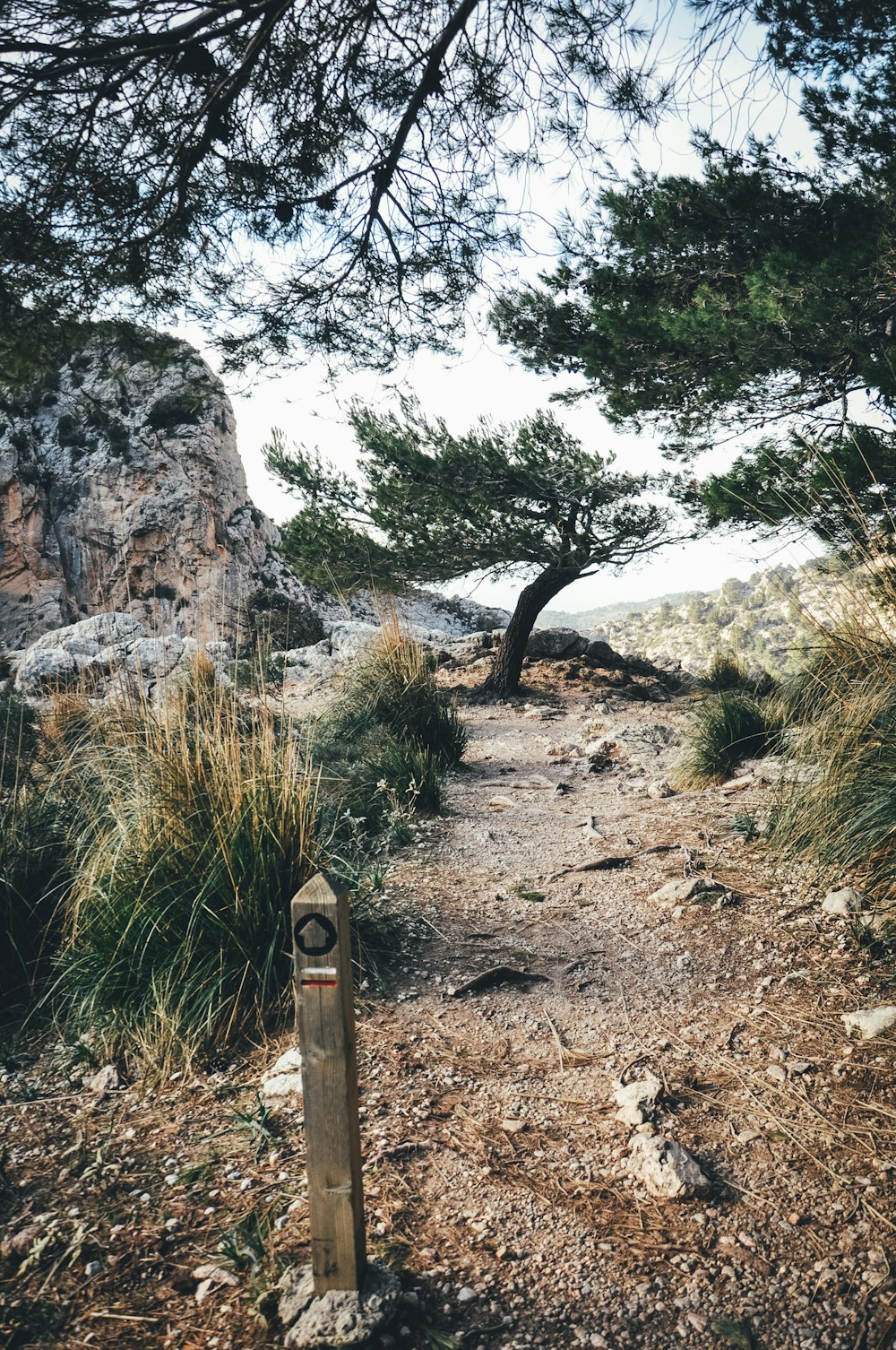 green grass and brown rock formation