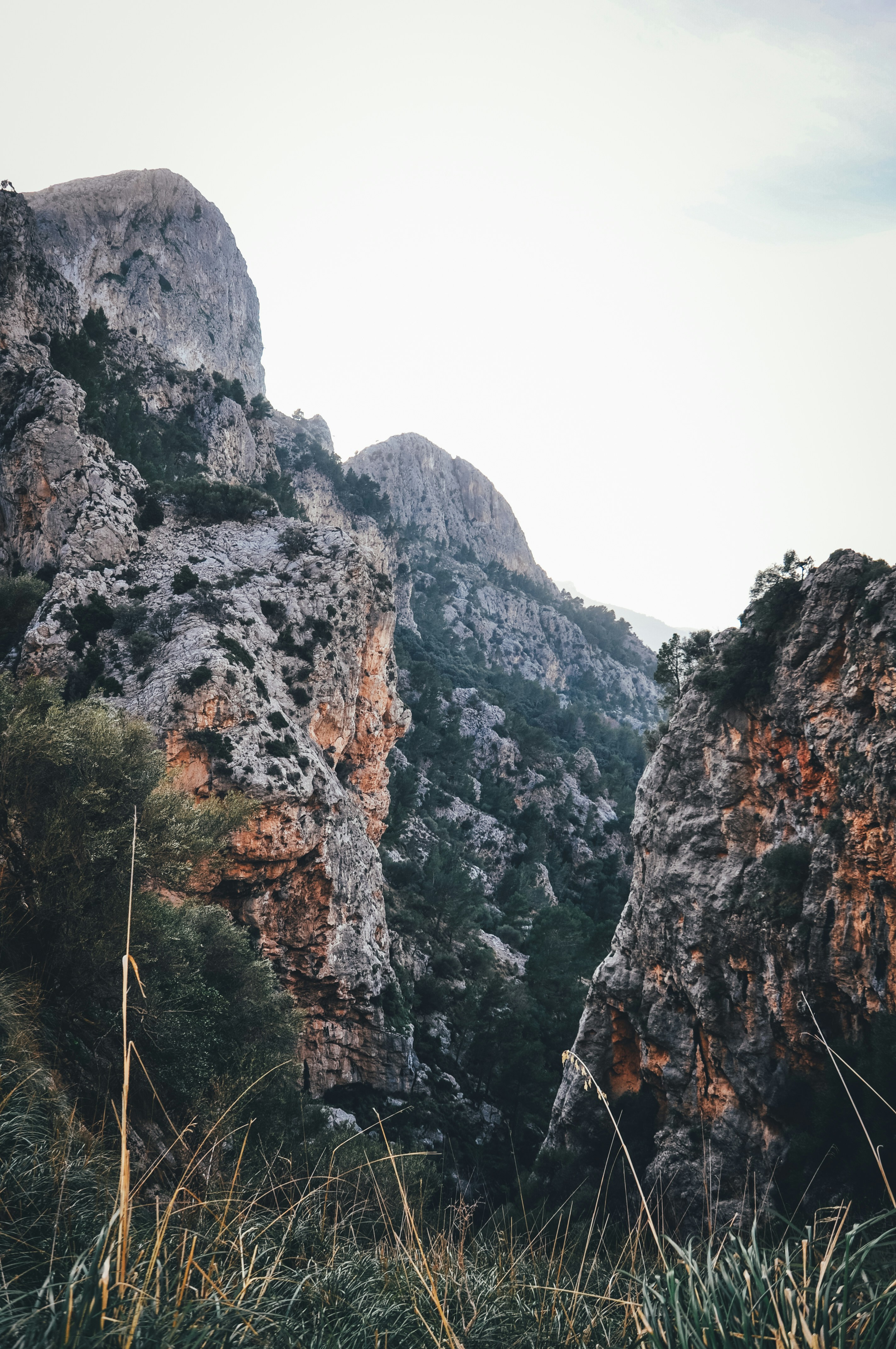 Photo by ialwayswantedagun