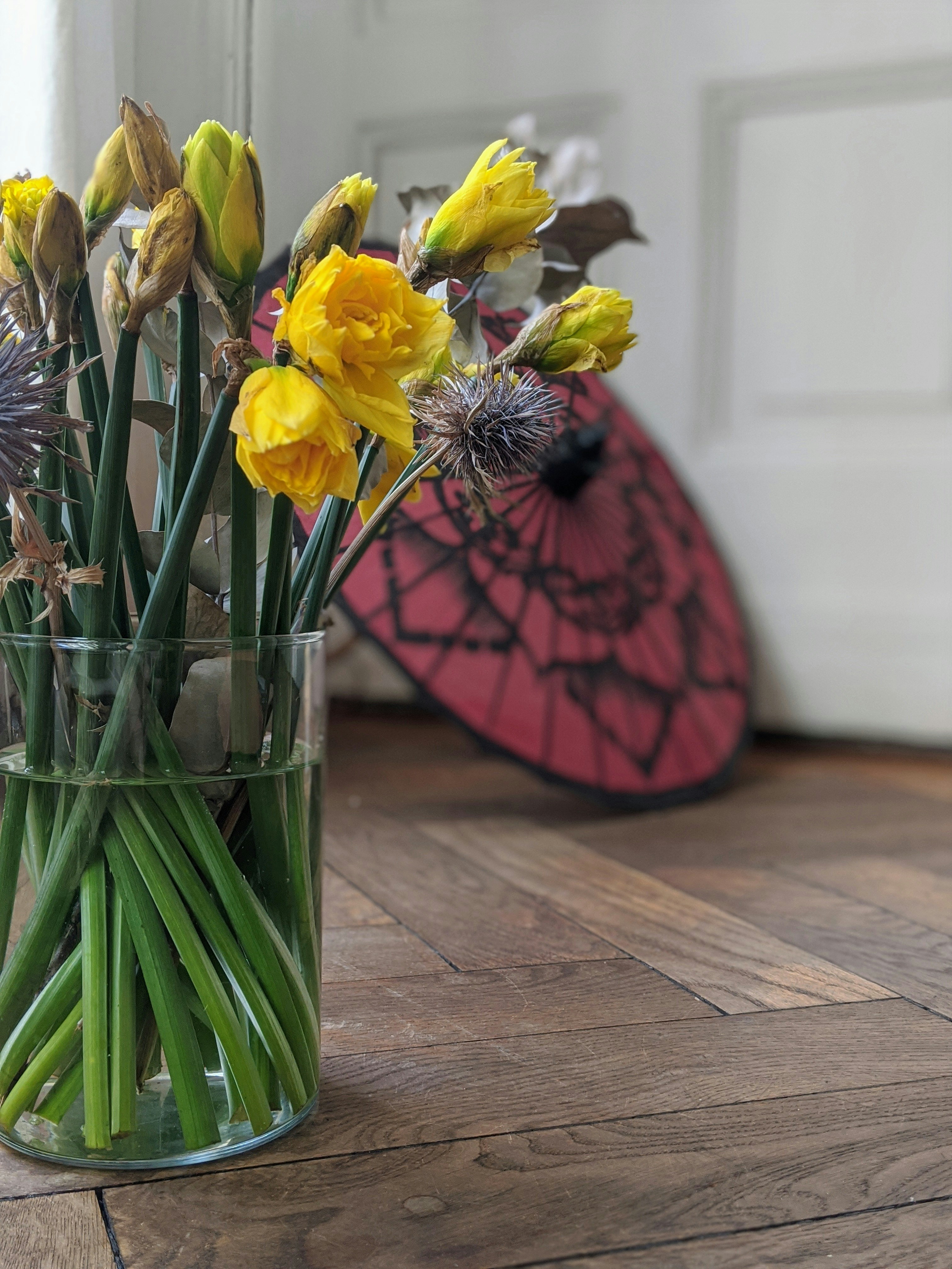 Photo by alanaharris