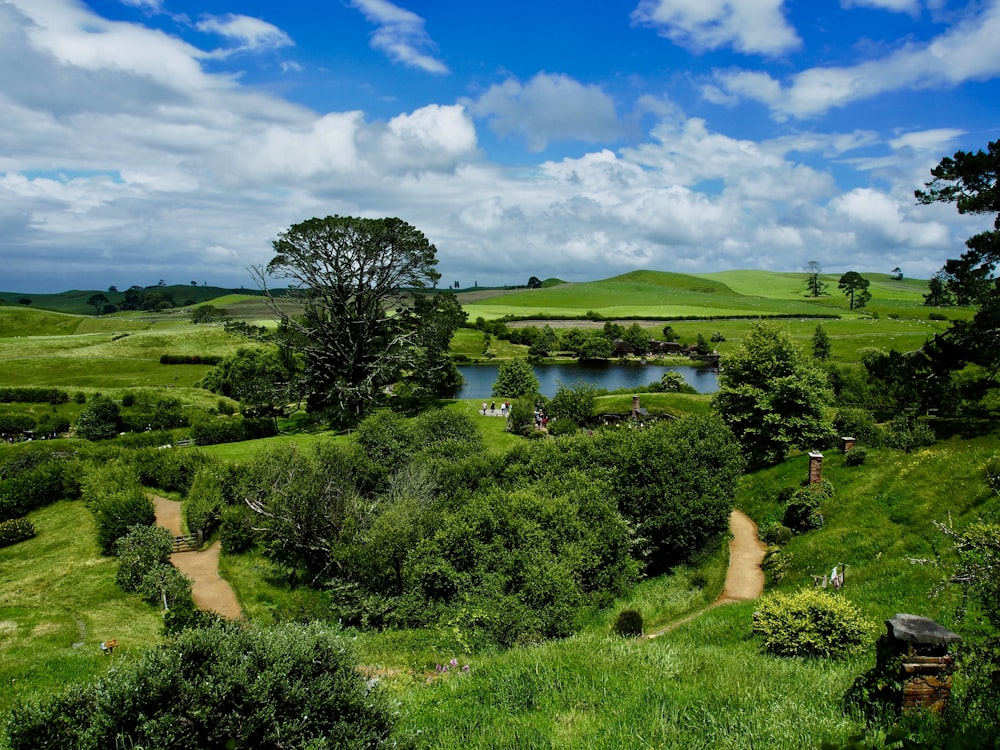 green grass field near lake under blue sky during daytime