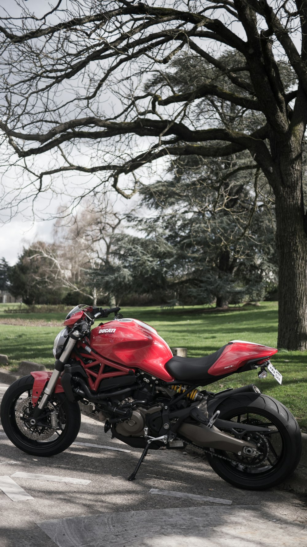 red and black motorcycle parked on green grass field near brown trees during daytime