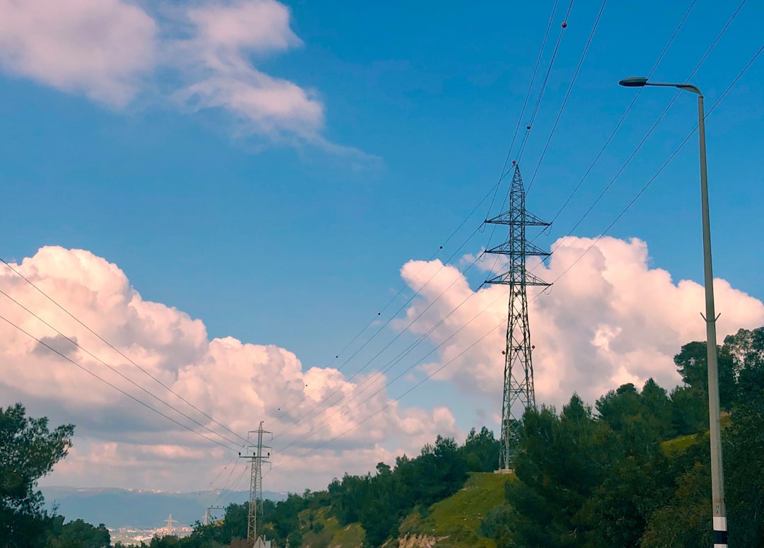 green trees under blue sky during daytime