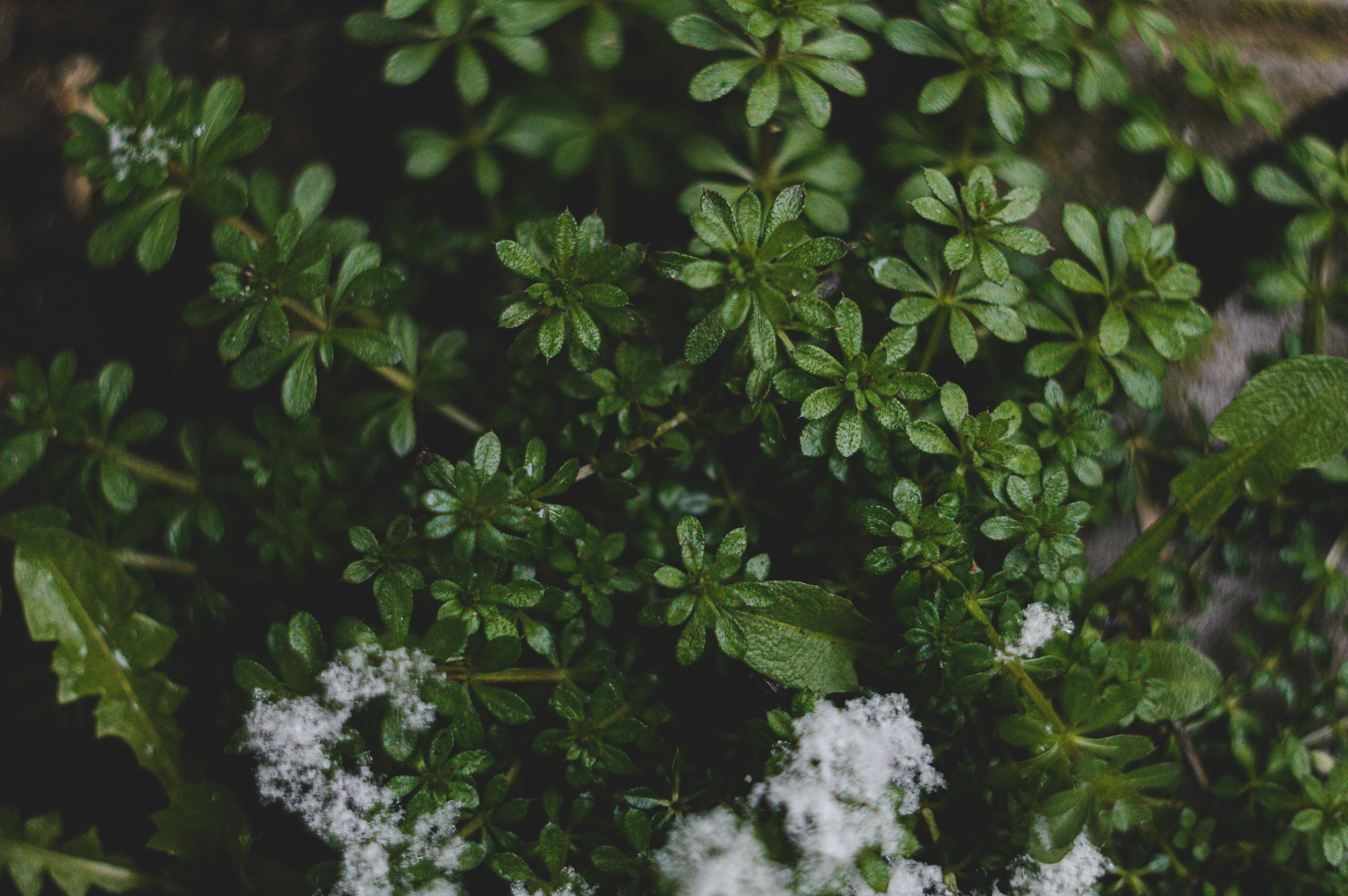 Photo by sam380967903116