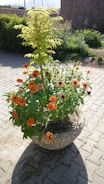 A sturdy fiberstone pot planter filled with vibrant seasonal flowers on a sunlit patio.