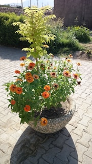 A fiberstone pot planter filled with vibrant seasonal flowers sitting on a sunny patio.