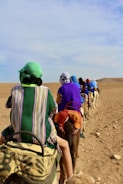 people riding horse on brown sand during daytime