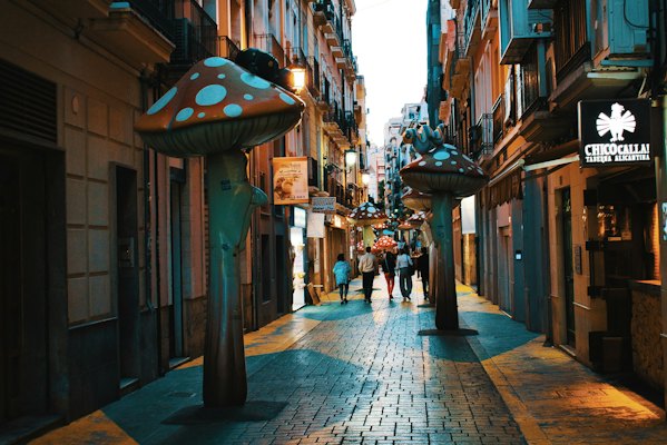 A street of giant mushroom sculptures in the centre — Alicante, Spain
