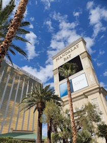white and blue concrete building near palm trees under blue sky during daytime