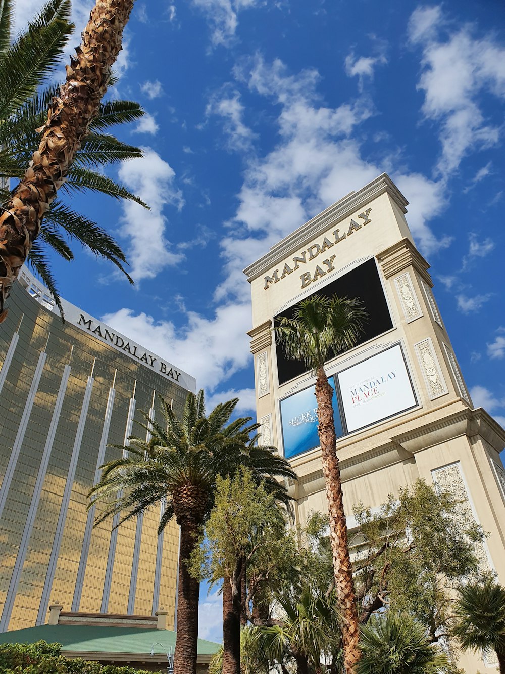 white and blue concrete building near palm trees under blue sky during daytime