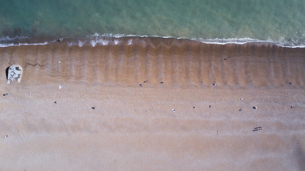 brown sand with water during daytime