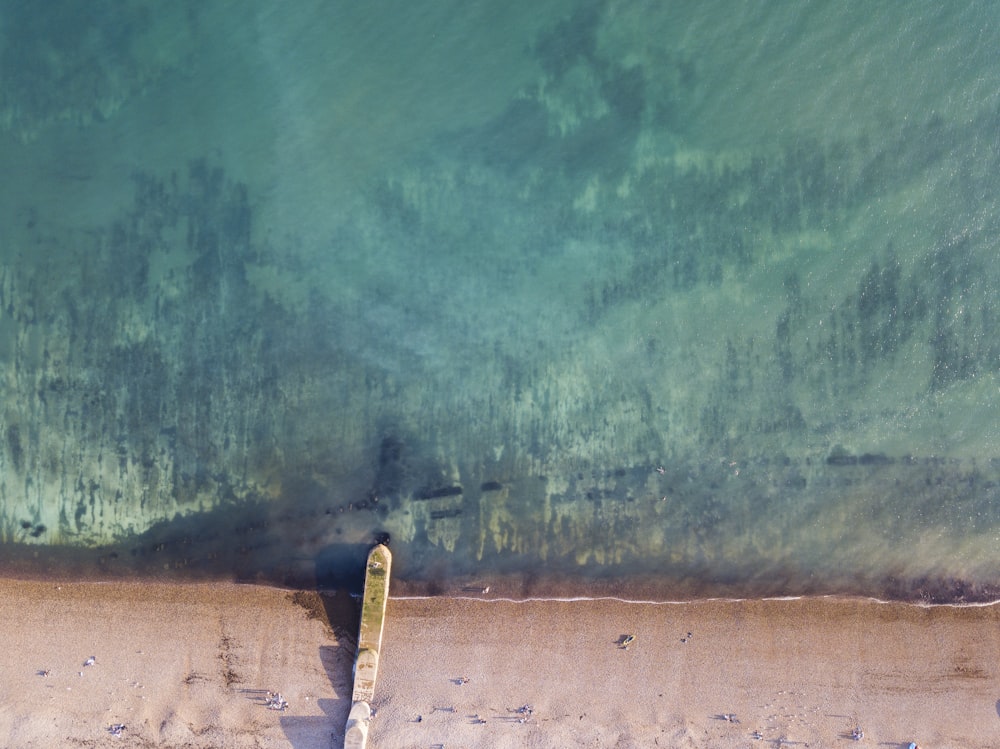 aerial view of green trees beside body of water during daytime