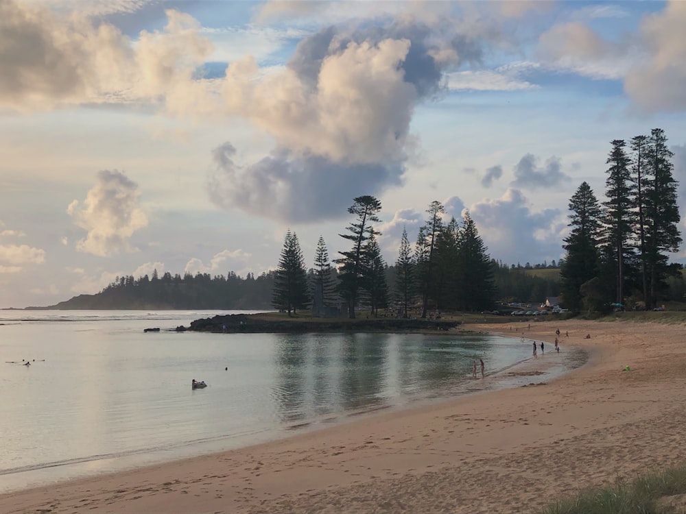 body of water near green trees under white clouds and blue sky during daytime