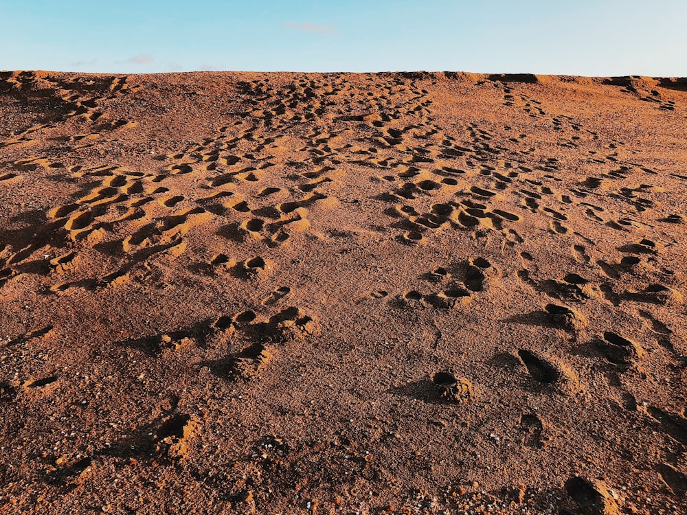 brown sand under blue sky during daytime