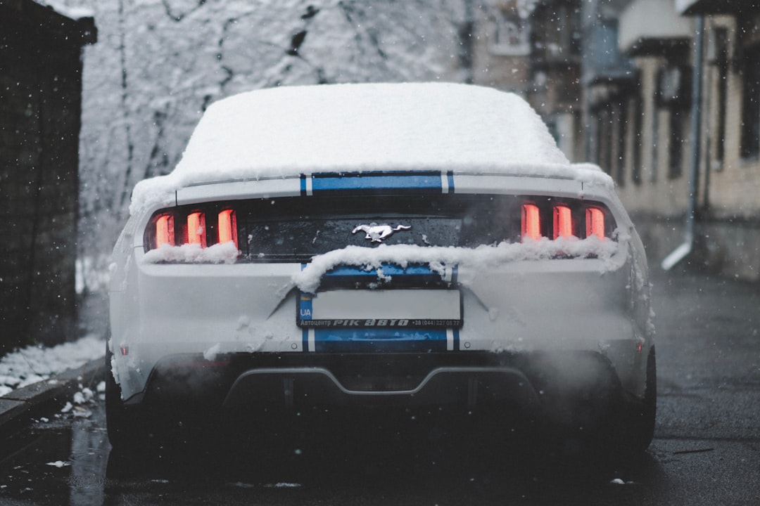 white and blue car covered with snow