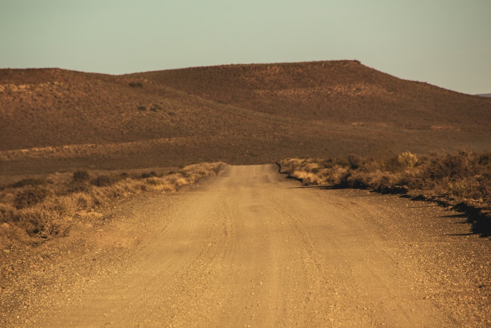 brown sand field during daytime