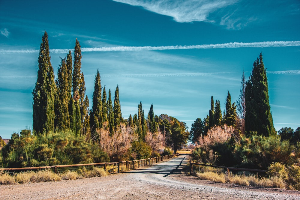 brown wooden fence near green trees under blue sky during daytime