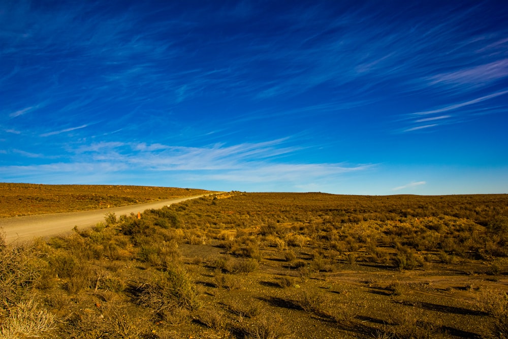 campo marrone sotto il cielo blu durante il giorno