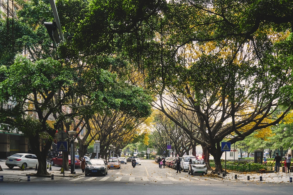 cars parked on side of the road during daytime