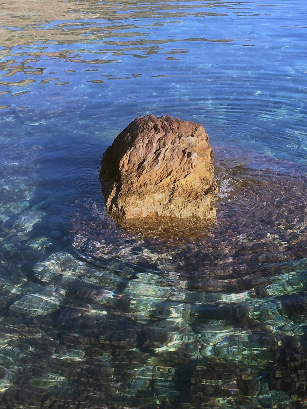 Brauner Felsen mitten im Wasser