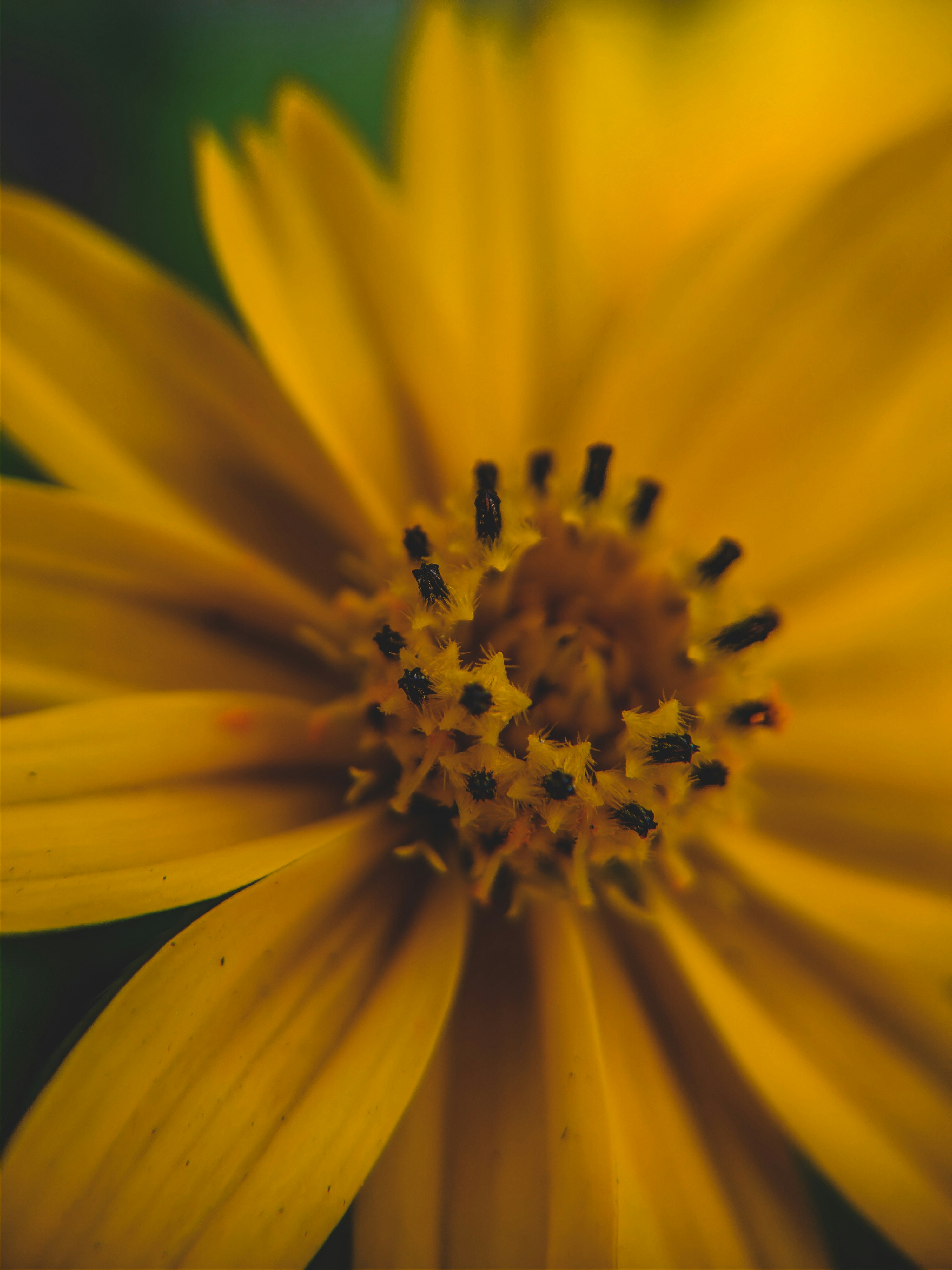 Photo by pawankotharkar