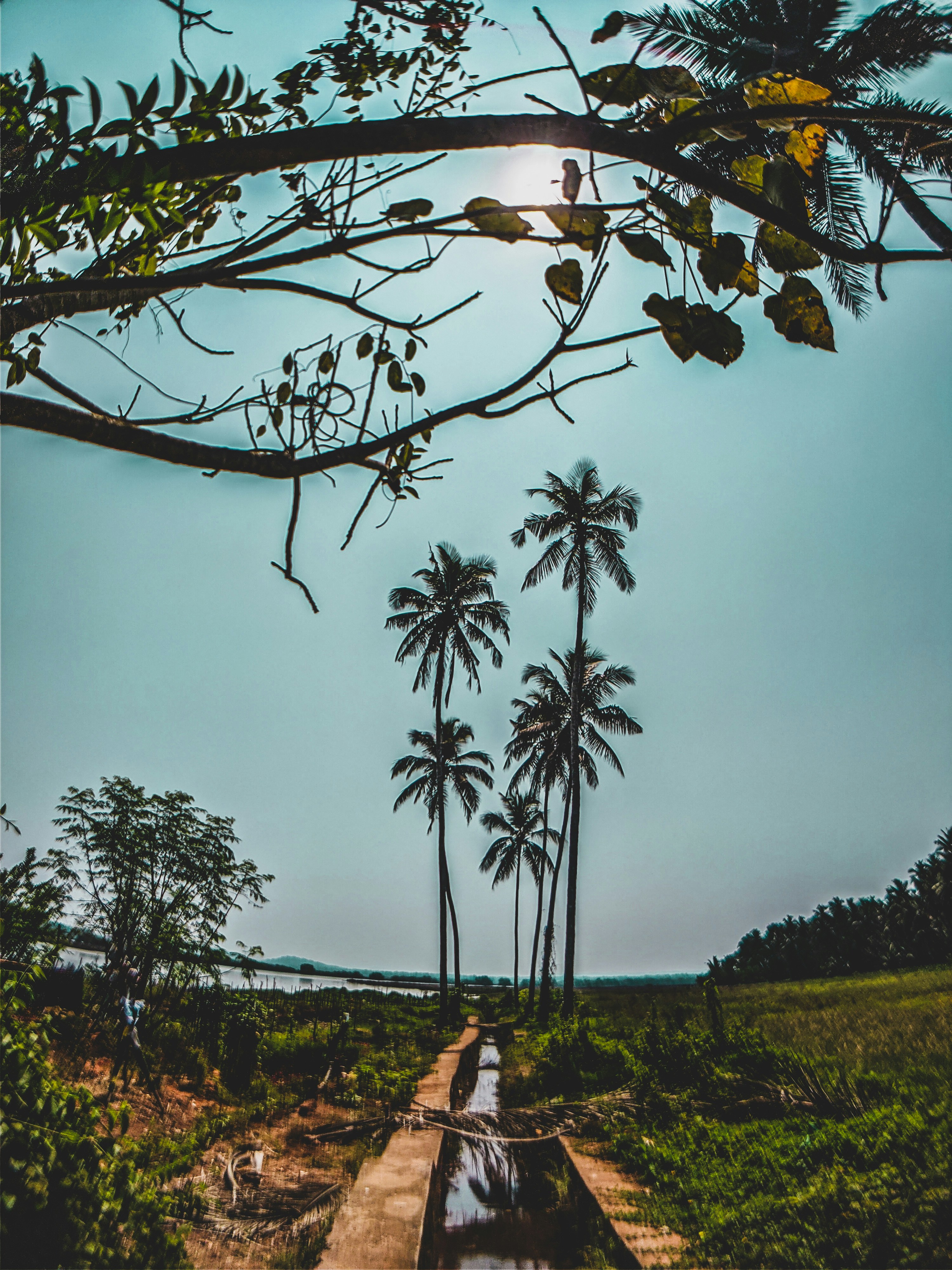 Photo by pawankotharkar