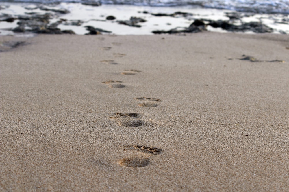 foot prints on the beach during daytime