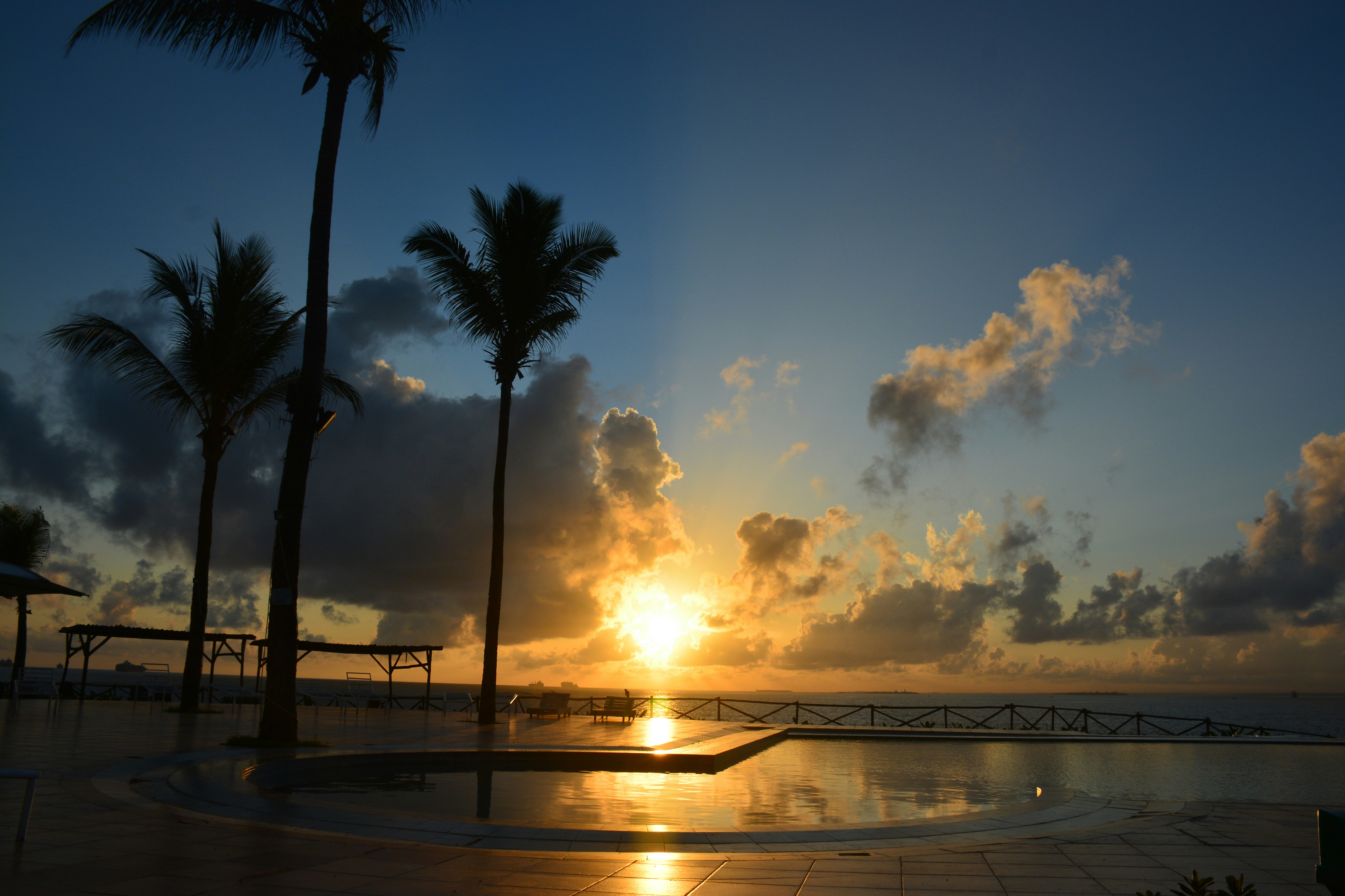 Photo by jasmine_zim