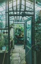 green plants on green metal frame