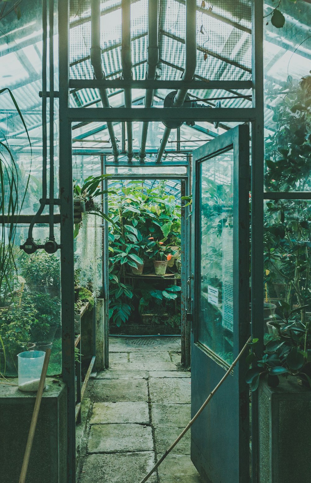 plantas verdes en un marco de metal verde