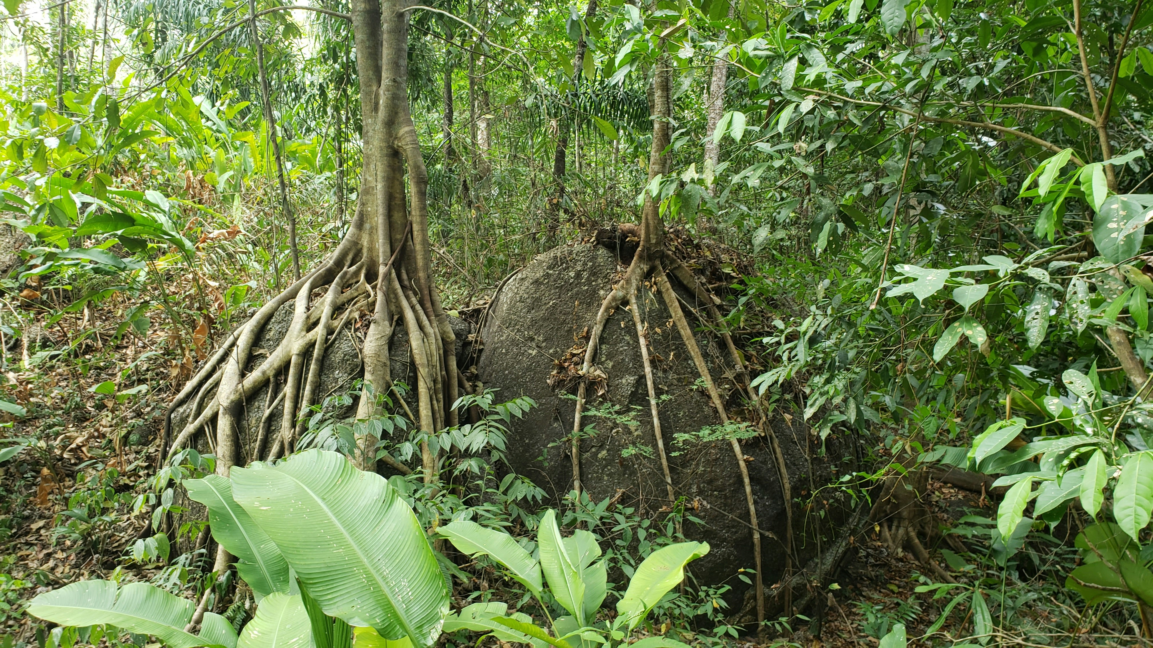 photo 1584977860953 d1c11120d311?ixlib=rb 4.0