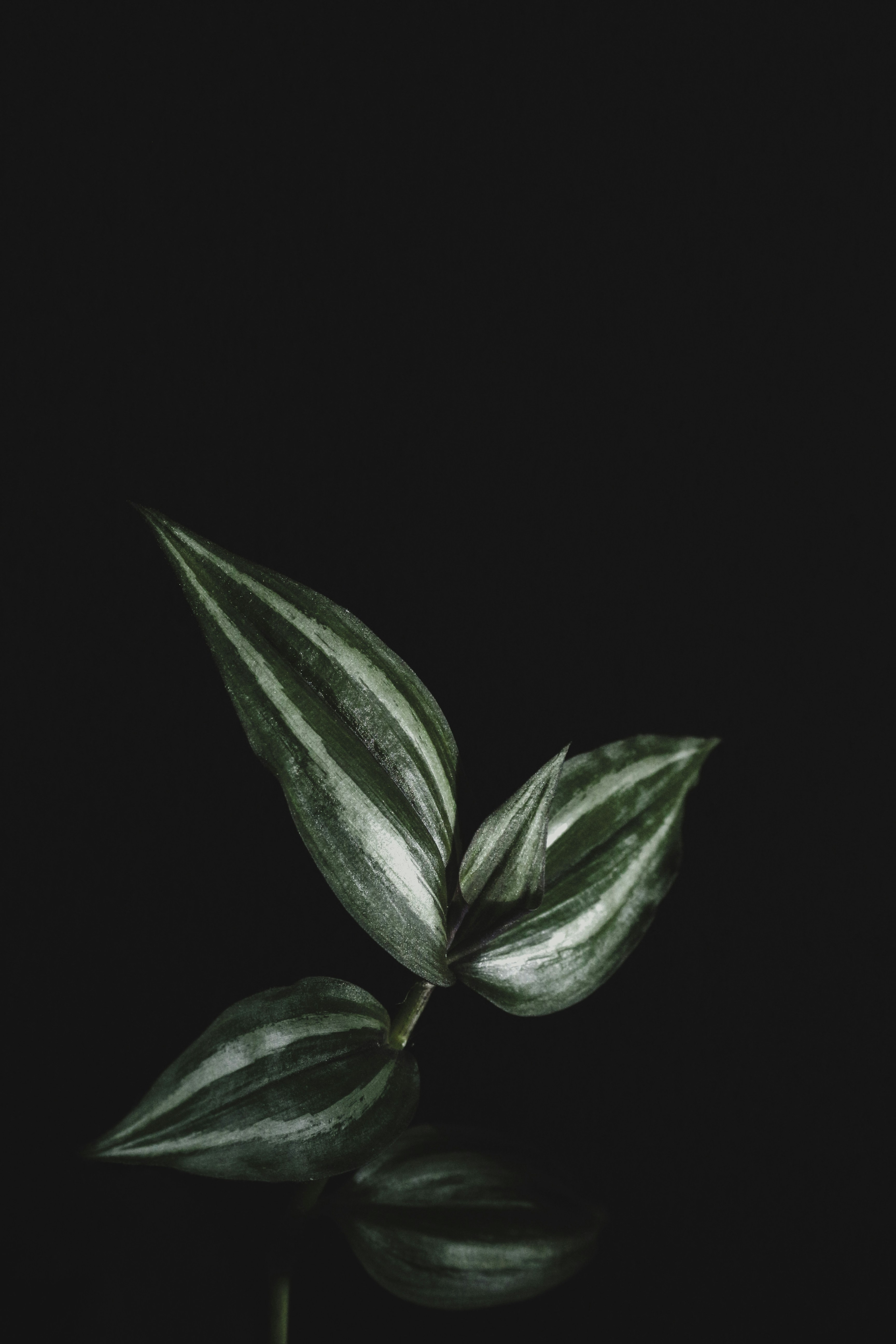 Photo by mmehdiazhdari